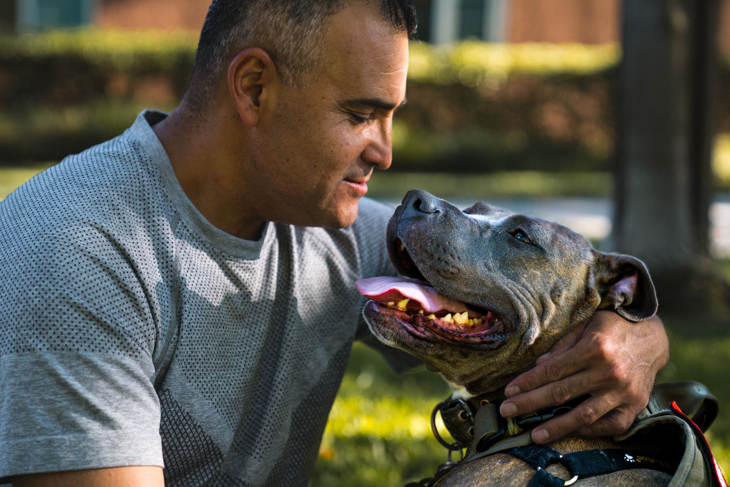Purina Dog Chow Launches Service Dog Salute Campaign (via Houston Chronicle)