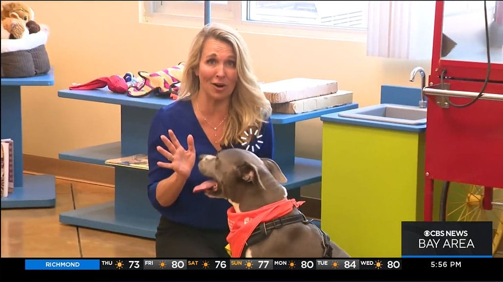 Mel’s “Anti-birthday” (via KPIX)