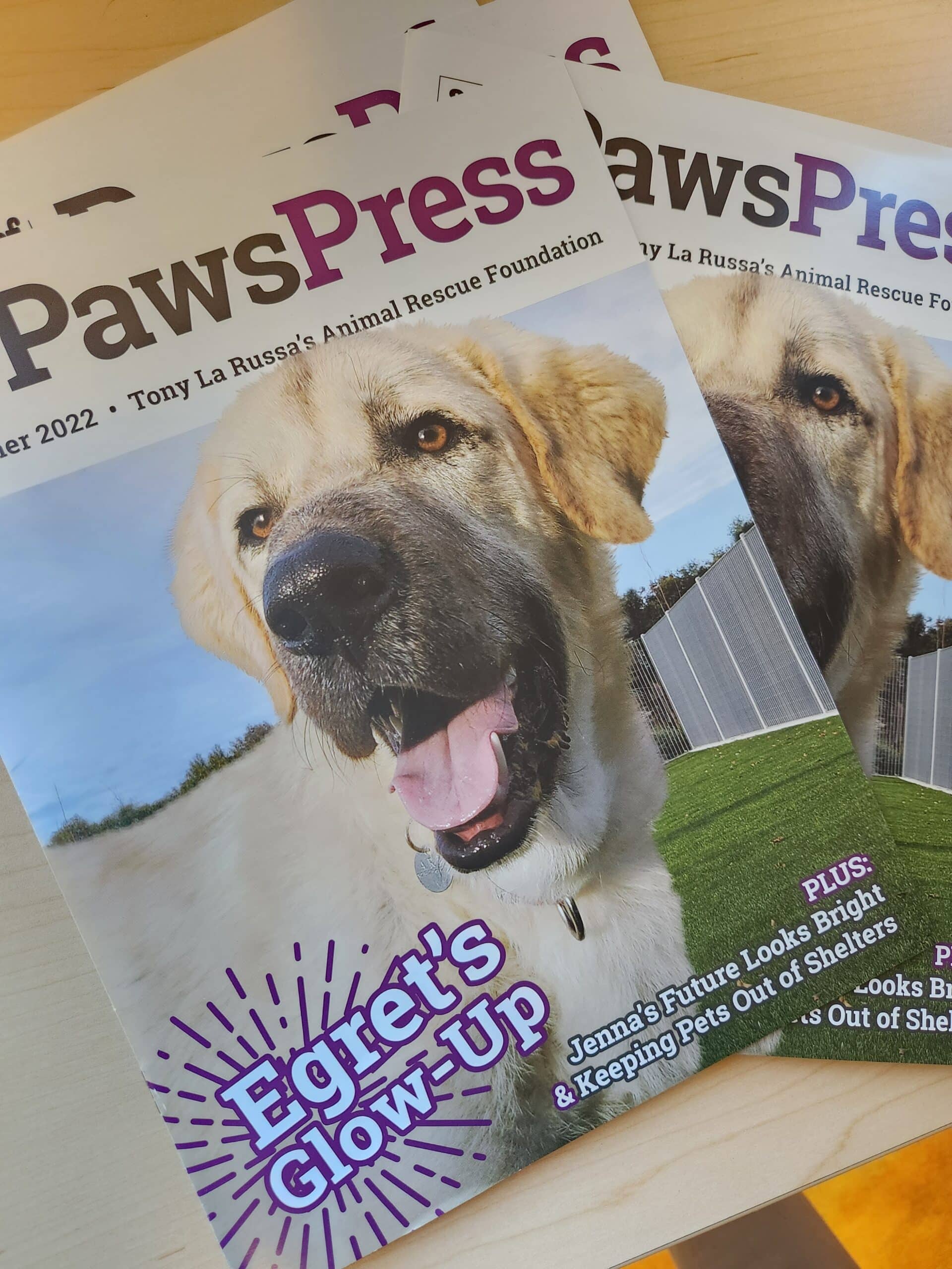 Paws Press Magazine — Summer 2022