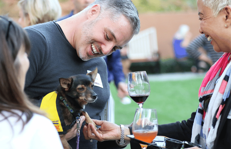 The Animal Rescue Foundation Announces Wandering Wine & Whiskers Fall Fundraiser