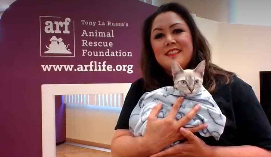 More Than 1,200 Animals per Year Saved (via KTVU)
