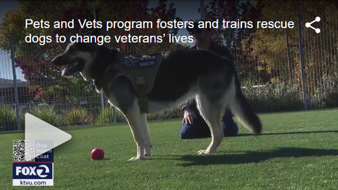 ARF Pets and Vets (via KTVU)