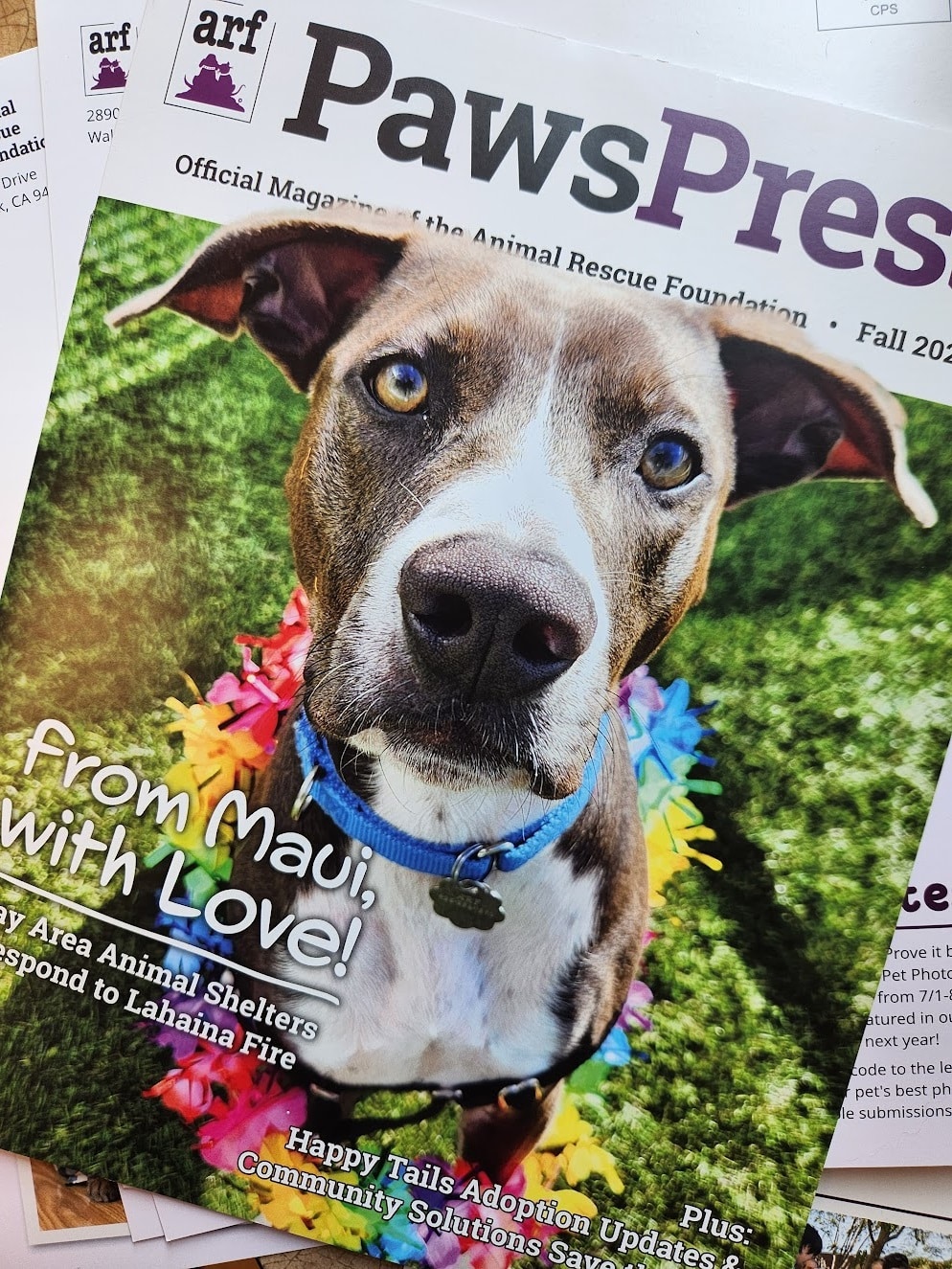 Paws Press Magazine — Fall 2023