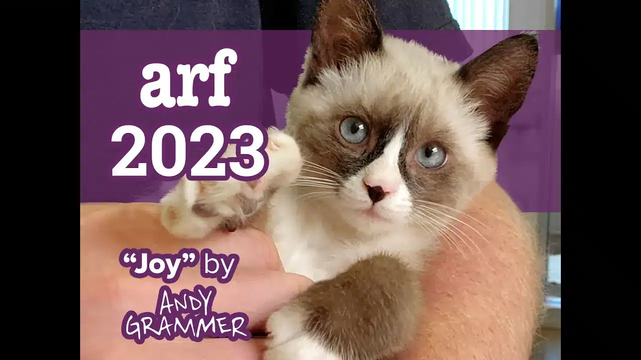 2023 End of Year Video