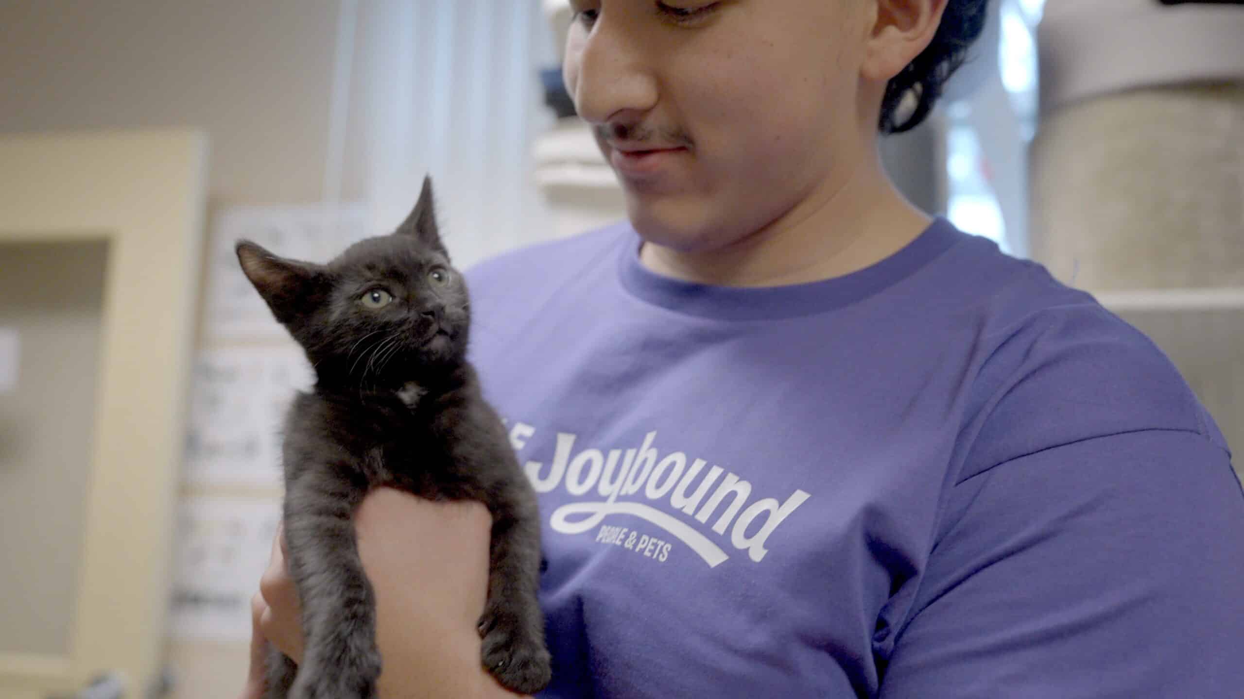 Will You Be Mine? Animal Rescue Foundation is now Joybound
