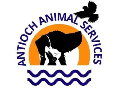 Free Pet Vaccinations & Microchips in Antioch