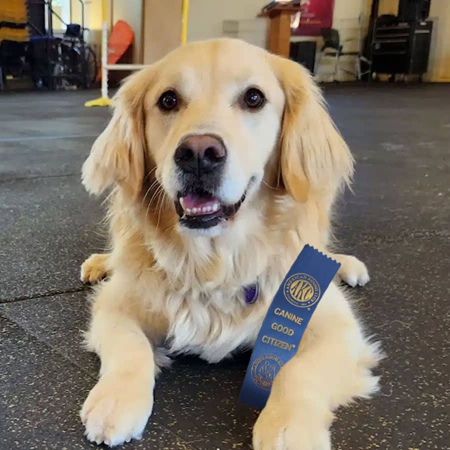 Canine Good Citizen™ Classes