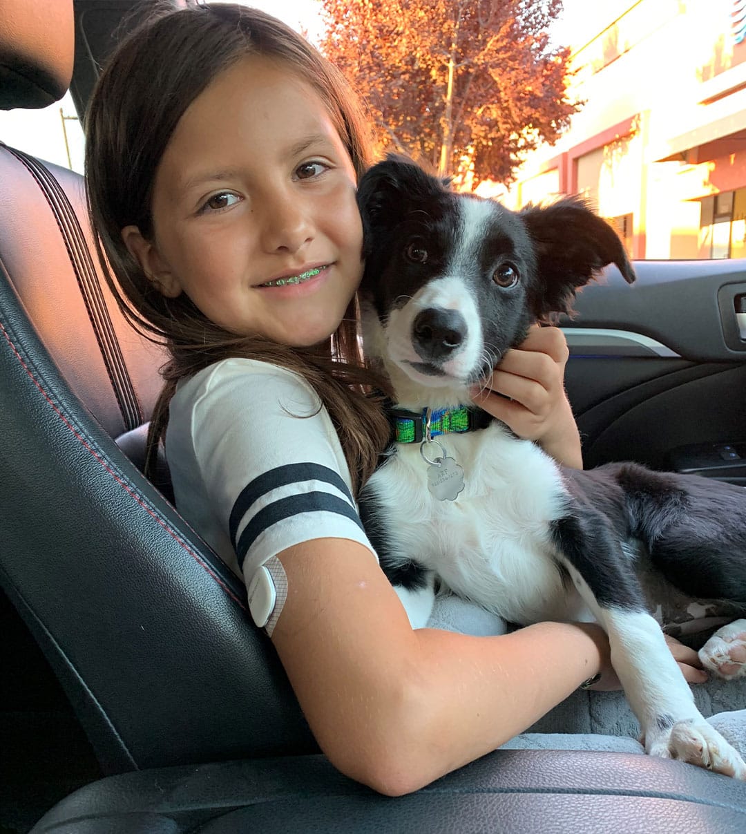 Thank You for Adopting a Dog from Joybound!