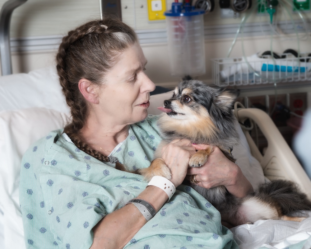Types of Working & Companion Animals
