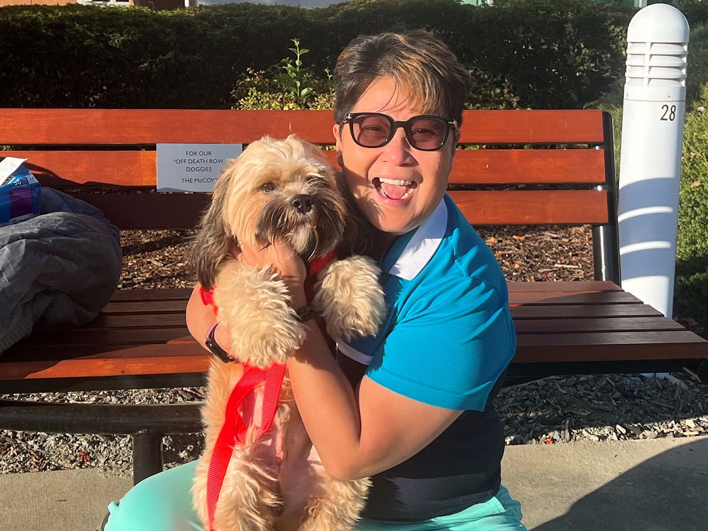 Recent Adoptions – Week of October 7