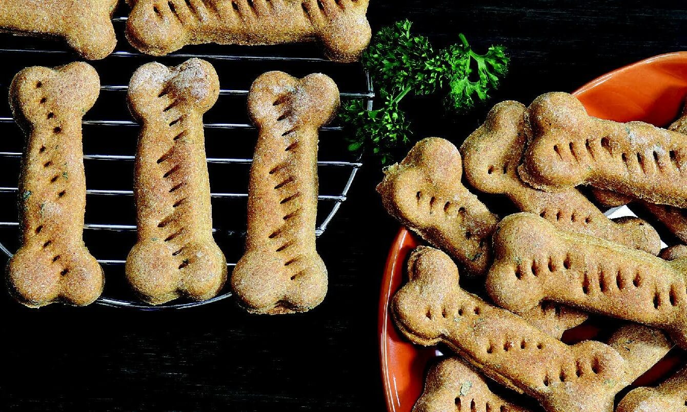 Holiday Treat Recipes for Pets