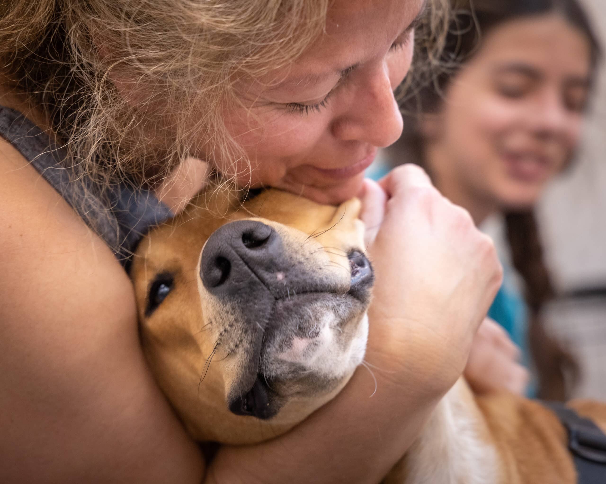 Fostering Hope: Get Involved with Shelter to Service