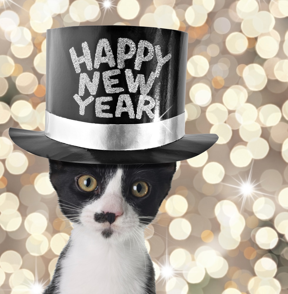 New Year’s Eve Pet Safety