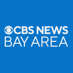 Organization partners with East Bay animal shelters to find homes for 12 abandoned Chihuahuas