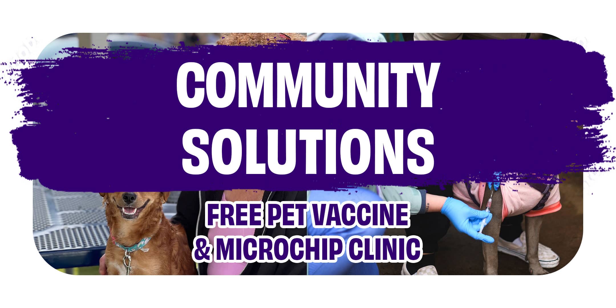Free Pet Vaccinations & Microchips at Antioch Animal Services