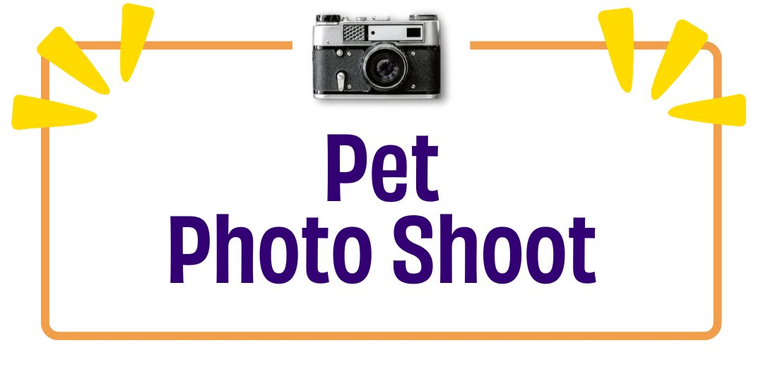 Back to School Pet Photoshoot