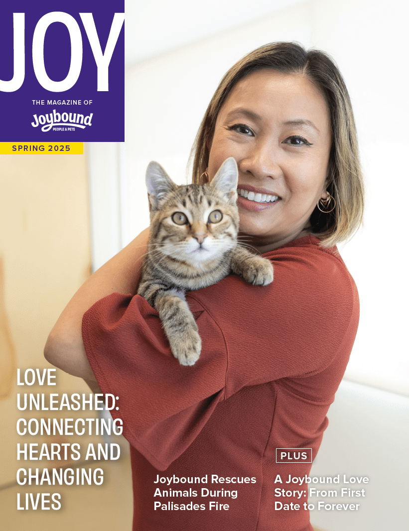 Joy Magazine – Spring 2025