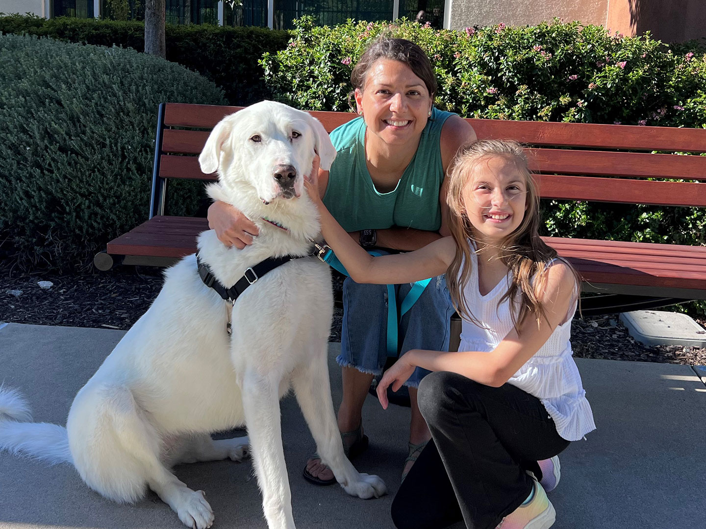 Adoption Recap – Week of June 8